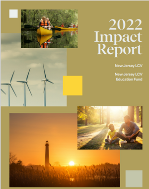 2022 Impact Report