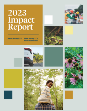 2023 Impact Report