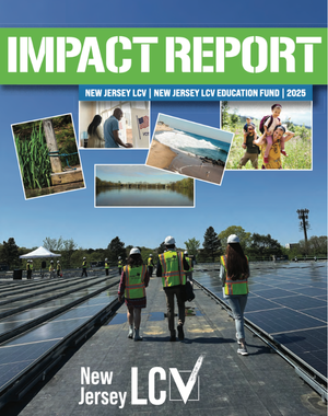 2025 Impact Report 