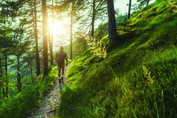 Hiking in Open Space