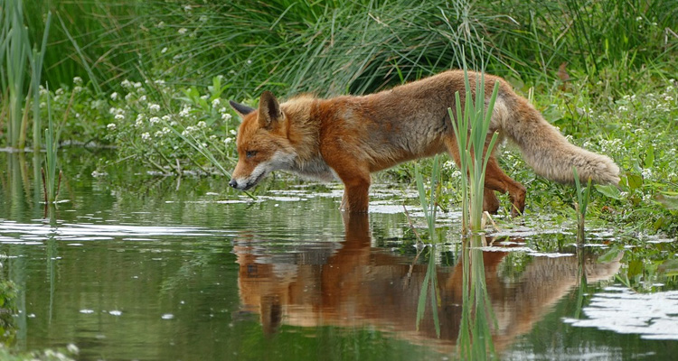 Department of Environmental Protection
