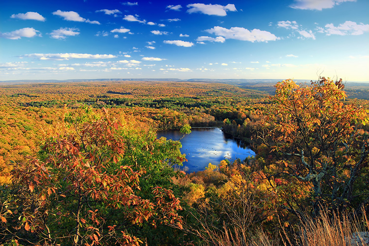 South-to-southeast vista from the summit of Mount Wismer, Monroe County, within the Gravel Family Nature Preserve.