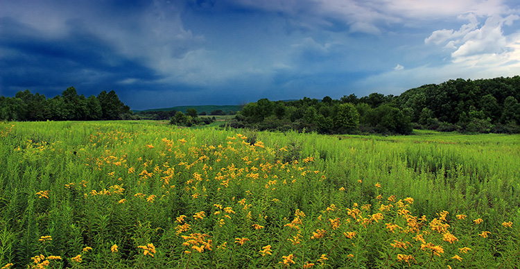 Incoming storm clouds over the Middle Branch Chillisquaque Creek Valley, Montour Preserve, Montour County